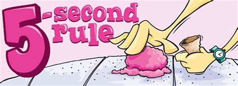 Dirty Or Delicious The 5 Second Rule Investigated Bit Rebels
