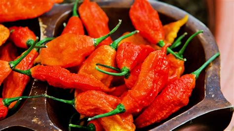 People Who Eat Chili Peppers May Live Longer Study Says