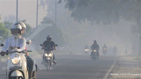 Asap Kian Pekat Jarak Pandang Di Barito 100 Meter