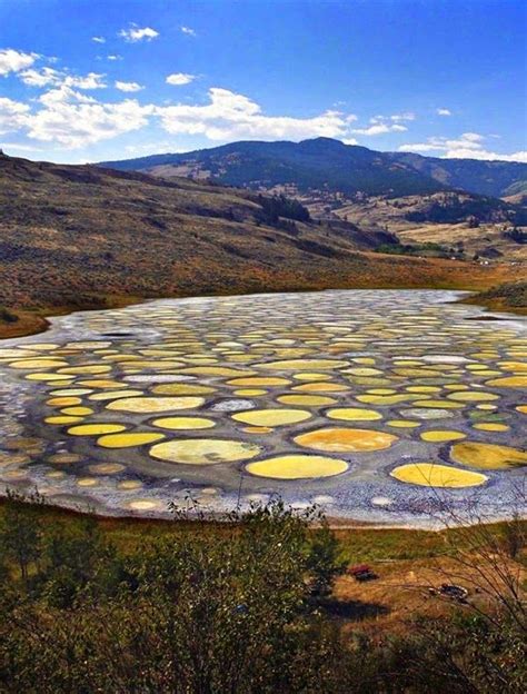Travel Gallery Mysterious Spotted Lake British Columbia Canada