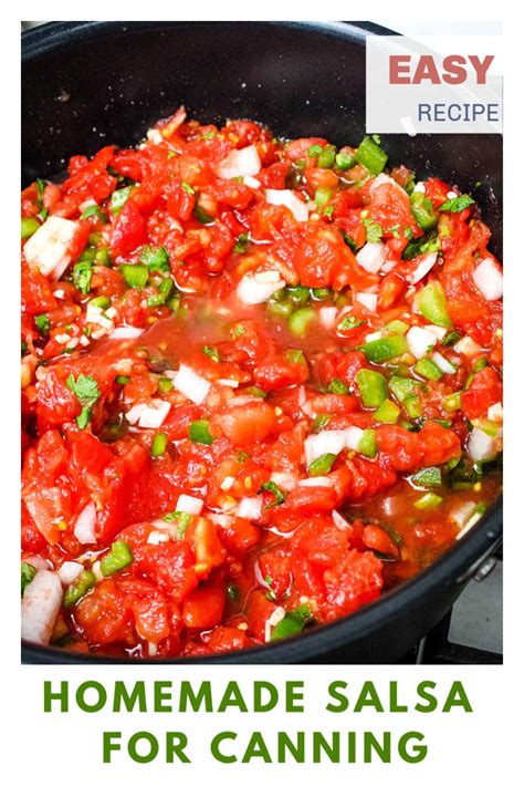 This home canned salsa recipe calls for lots of chopped vegetables. Easy Homemade Salsa for Canning | Mild salsa recipe, Homemade salsa, Homemade salsa recipe