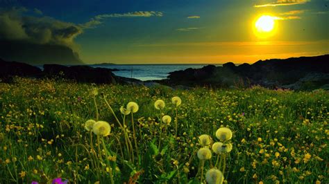 Spring Sunset Wallpapers Wallpaper Cave