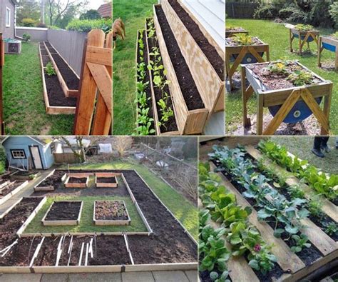 12 Ideas To Make A Small Vegetable Garden Jeremy Welch Blog