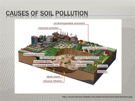 Soil Pollution Key Causes Of Soil Pollution Effects Soil Contamination