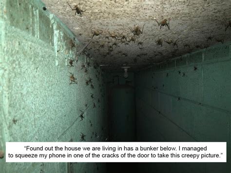 16 really creepy things that people found hidden in their homes creepy pictures scary photos