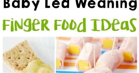 Finger Food Ideas For Baby Led Weaning My Favorite Recipe