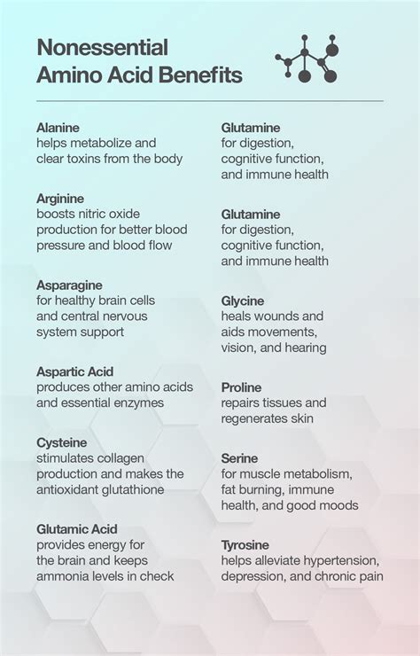 What Are The Non Essential Amino Acids And Their Functions 2022