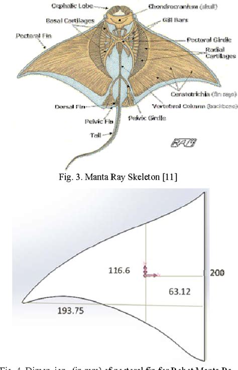 Figure 3 From Development Of Propulsion Mechanism For Robot Manta Ray