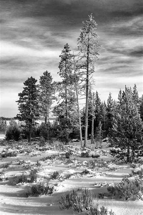 Yellowstone Winter Landscape 7 Photograph By Hugh Hargrave Pixels