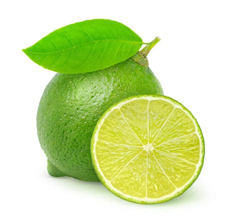 Fresh Lime Stock Photo Image Of Vivid Ripe Healthy 32867420