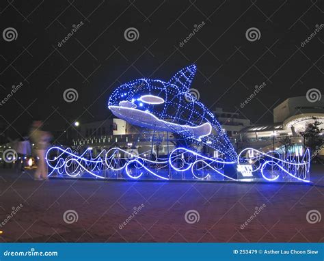 Christmas Whale Editorial Stock Image Image Of Lights 253479