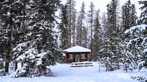 Best practices on how to set it up on zoom and requirements. 6 Winter-Themed Zoom Backgrounds
