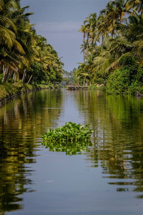 Photography And Beyond Backwaters Of Kerala India
