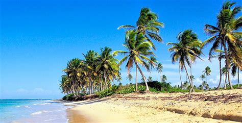 Las 6 Mejores Playas Del Caribe Caribea