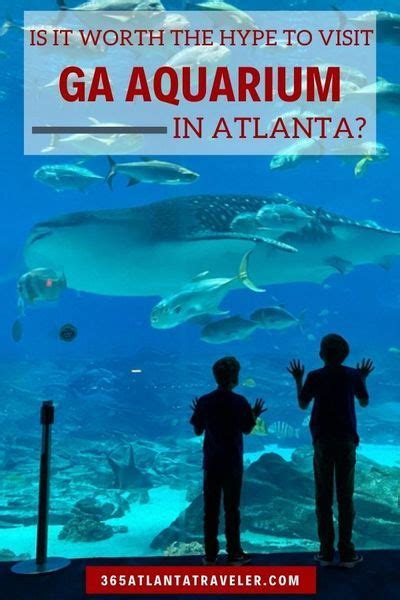 The Georgia Aquarium Houses 8 Million Gallons Of Water And More Than