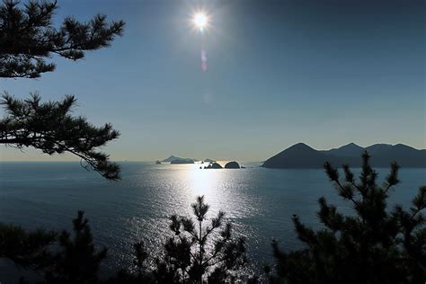 Free Images Geoje Island Of Korea Sky Nature Light Tree Horizon