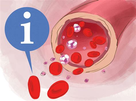 How To Increase Red Blood Cell Count