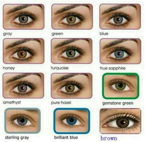 Human Eye Colour Chart By Delpigeon The Eye Sight 3 Facts About Eye