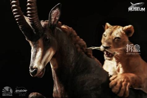 Käyttäjän 熟女会 (@shunvhui) viimeisimmät twiitit. 开天工作室 x 黑商会 博物系列安格拉狮捕食大黑马羚 雕像 | 拆盒网