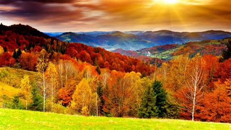 Colorful Autumn Leafed Trees With Sunrays And Landscape View Of