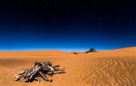 Wallpaper Sand The Sky Stars Night Desert Sahara