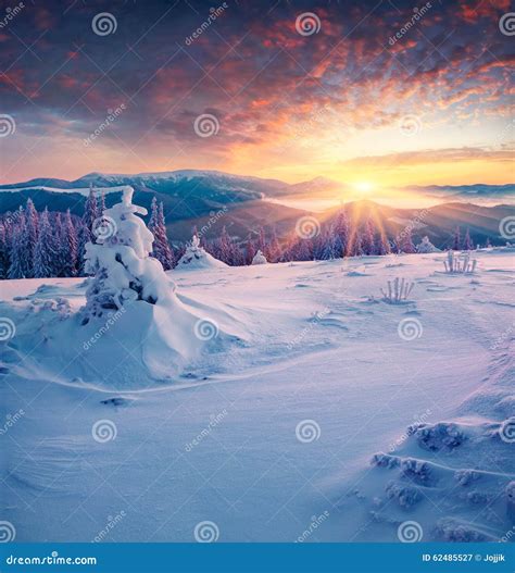 Colorful Winter Sunrise In The Mountains Stock Image Image Of Cold