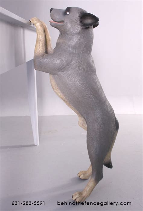 Standing Blue Heeler Statue Heeler Dog080073h 17599 Life Size