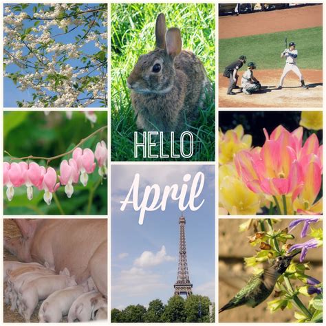 Hello April Hello April Photo Image Bunny Picture Animals Easter