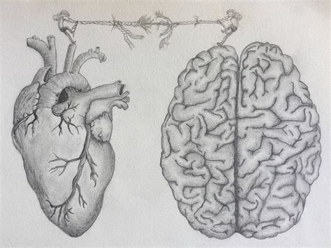 Anatomical Heart And Brain Art Print Pencil Drawing Etsy