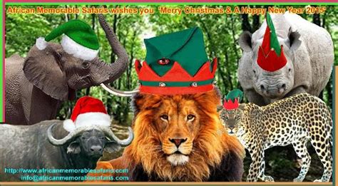 African Memorable Safaris Wishes You A Merry Christmas And