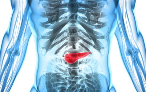 What we do know is that study after study confirms a relationship between diet and n. 5 Early Warning Signs of Pancreatic Cancer