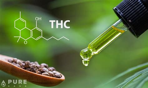 Make it at room temperature. CBD Oil with THC: How it Affects You, and What You Need to ...