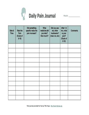 Daily Pain Journal Fill And Sign Printable Template Online