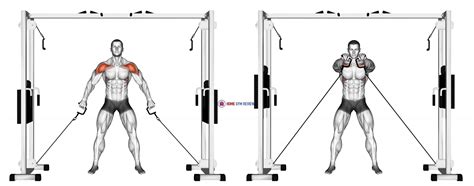 Cable Front Shoulder Raise Home Gym Review