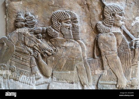 Assyrian Relief British Museum London England UK Stock Photo Alamy