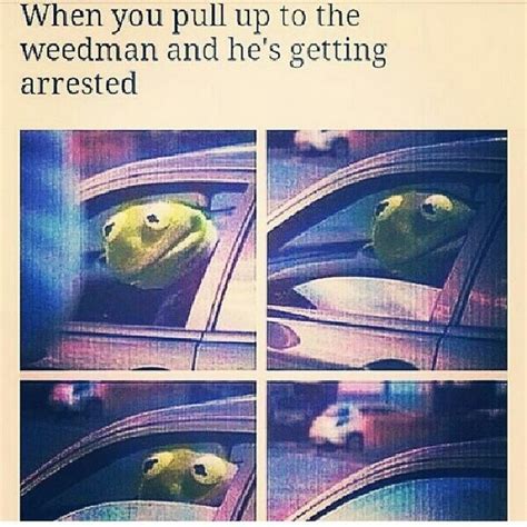 Kermit The Snitch Meme By Zetrollzor Memedroid