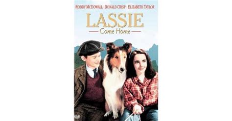 lassie come home movie review common sense media