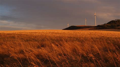 Grass Field Overlooking Windmills Under Blue Sky Hd Wallpaper