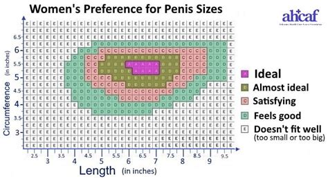Average Penis Size The Perfect Penis Size The Ideal Penis Size Gooners