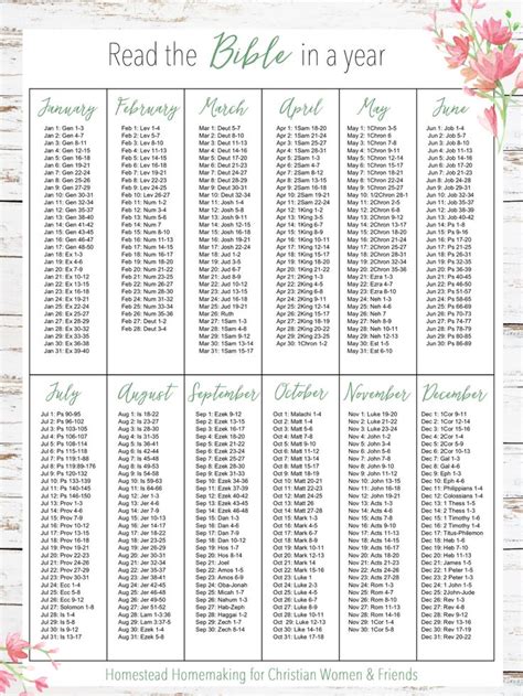 Two Year Chronological Bible Reading Plan
