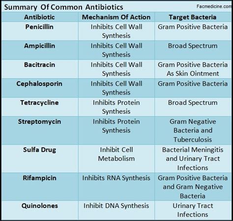Comparison Between The Most Common Antibiotics Faculty Of Medicine