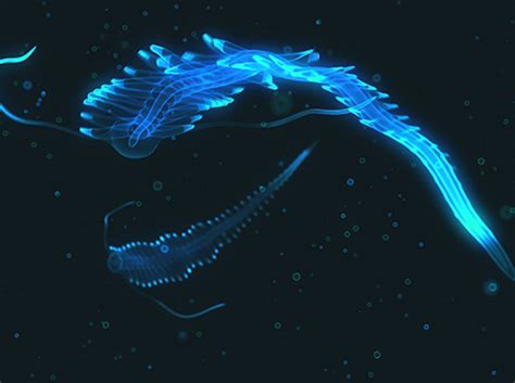 Bioluminescent Deep Sea Creatures Illuminate Effectiveness