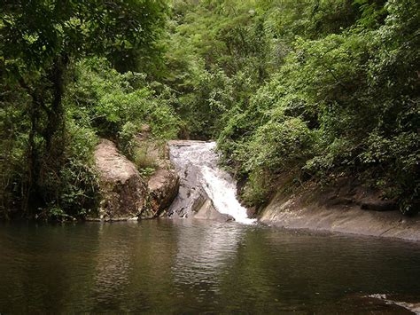 Parque Municipal De Nova Iguaçu Ganha Projeto De Trilhas Propark