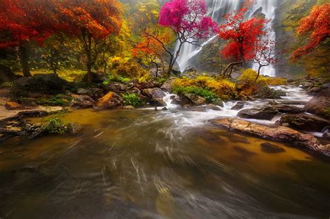 Beautiful Cascades In Forest Fall Forest Cascades Autumn Stones