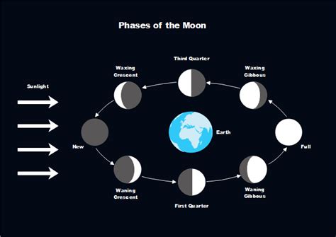 Moon Phases And Label