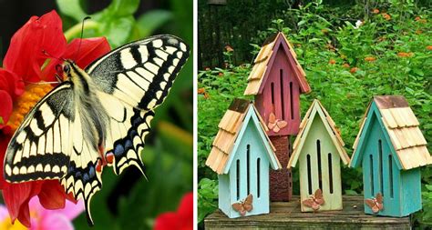 How To Build A Butterfly House And Have Butterfly Visitors All The Time