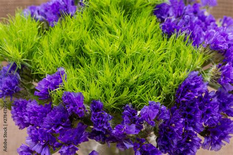 Green Ball Dianthus Barbatus Sweet William And Dark Purple Statice