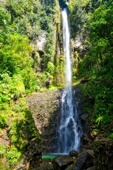 middleham falls dominica [3000x4496] oc earth lover earthporn landscape photographers