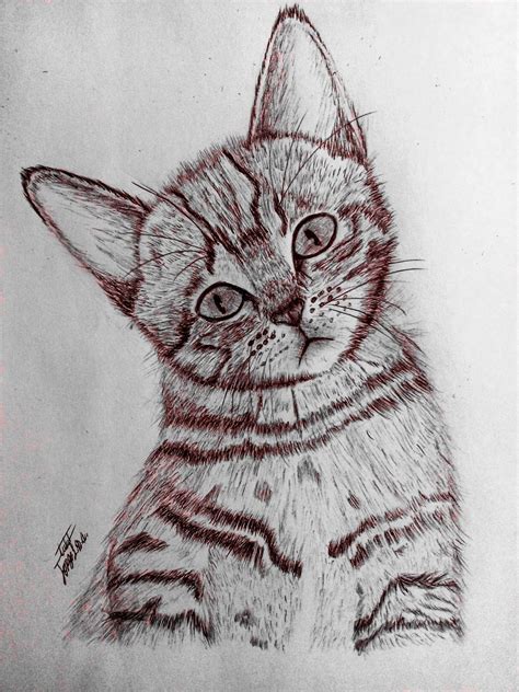 Dibujo De Gato Realista Gatos Gatitos Lindos Dibujos