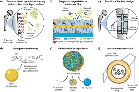 A Call For Action To The Biomaterial Community To Tackle Antimicrobial